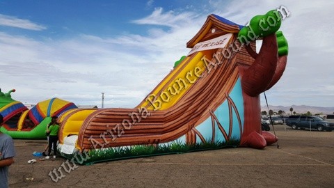 Giant Inflatable Side Rental Denver Colorado